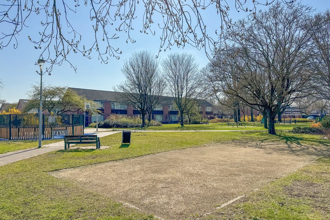 Foto 2 van Graan voor Visch 17701