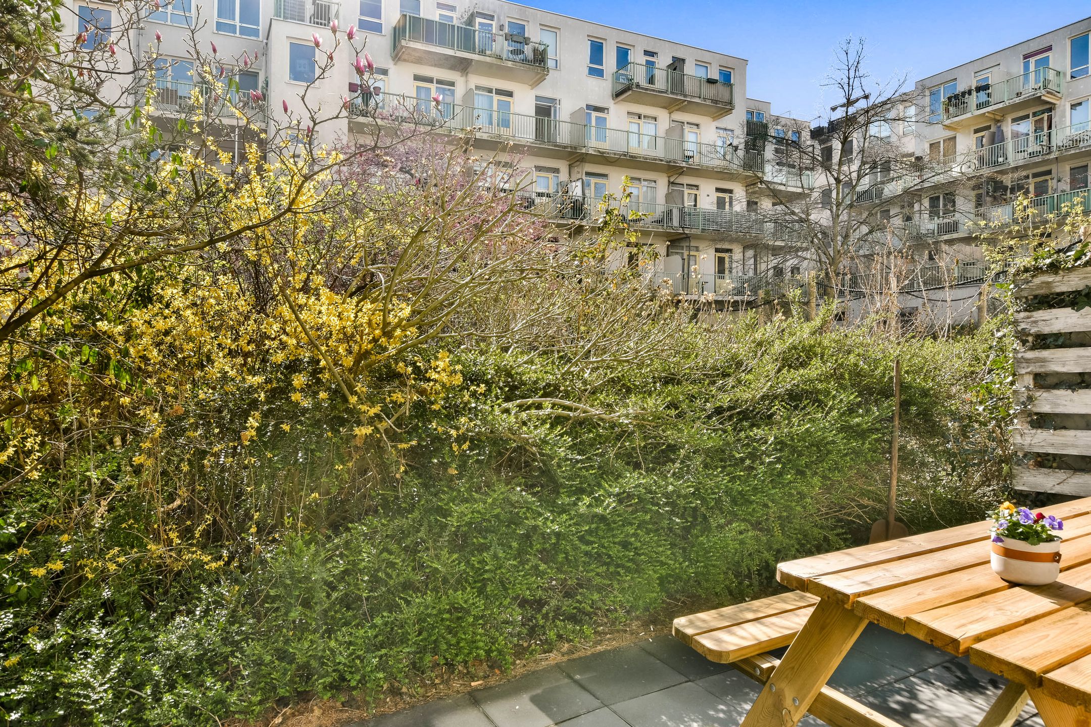 Foto 12 van Borgerstraat 143-A