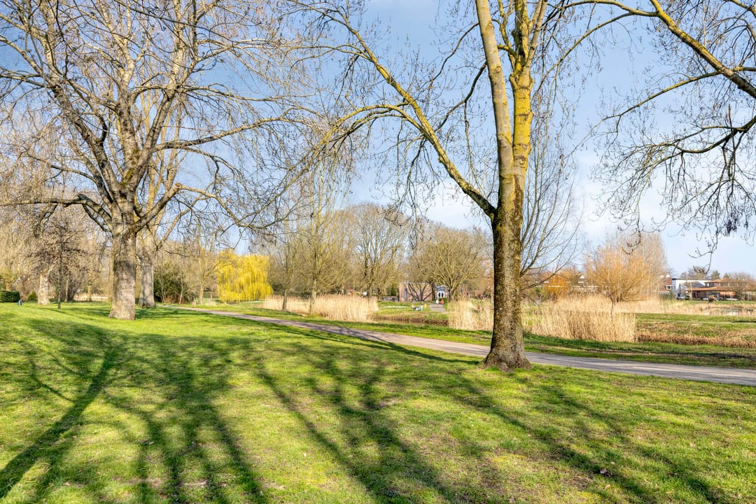 Foto 38 van Rijnstraat 37