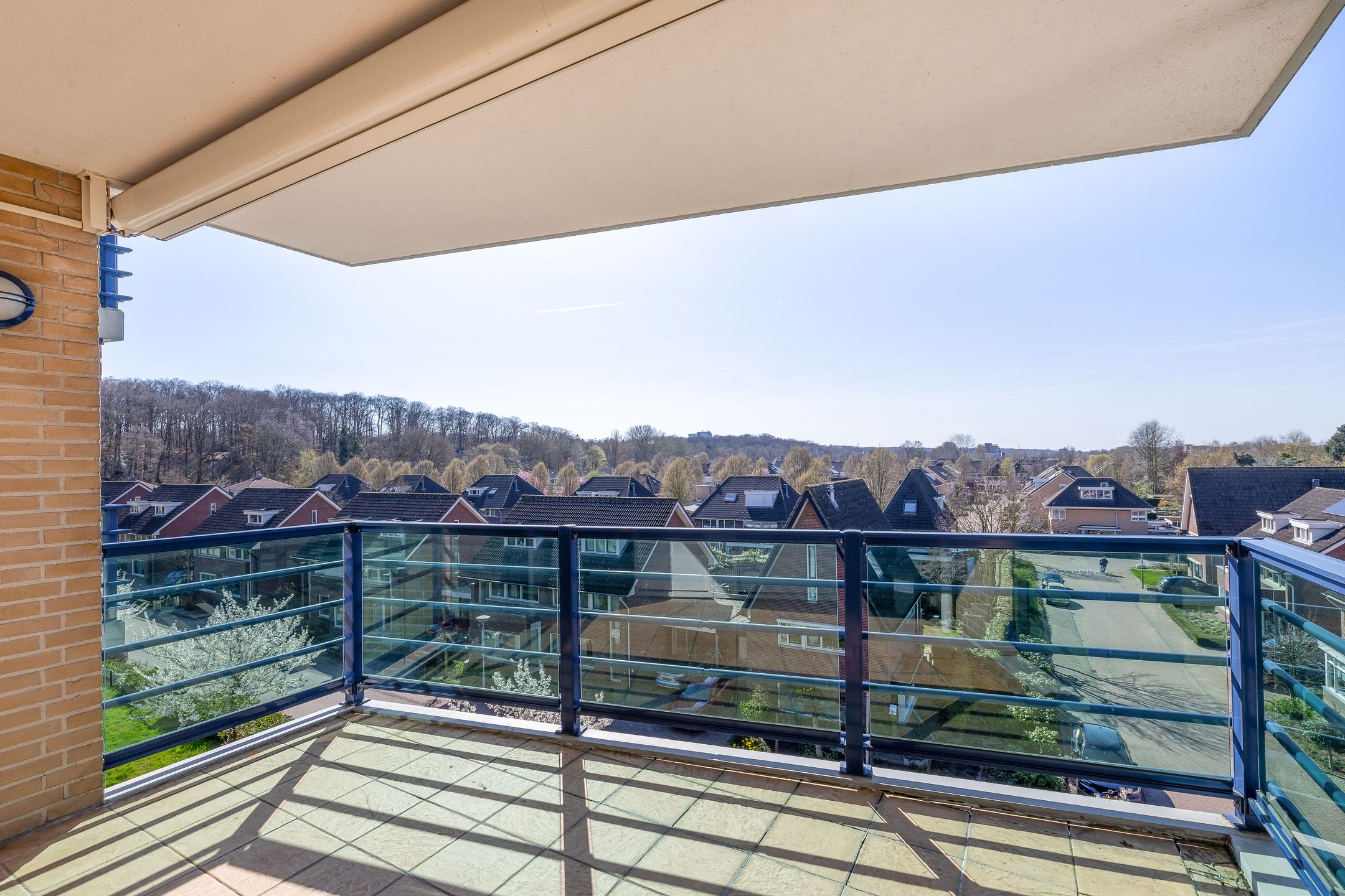 Foto 3 van Veldzuring 41