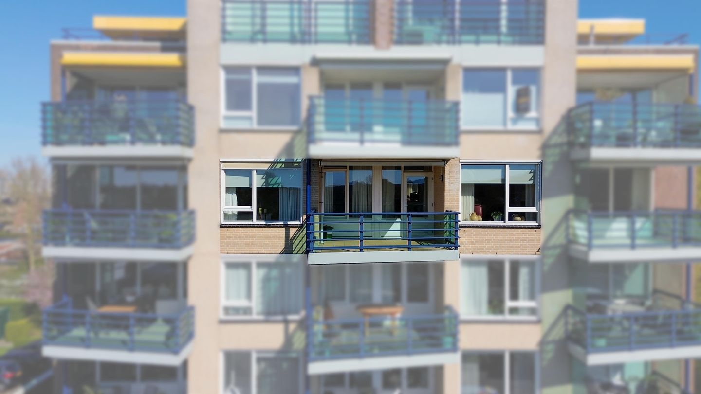 Foto 4 van Veldzuring 41