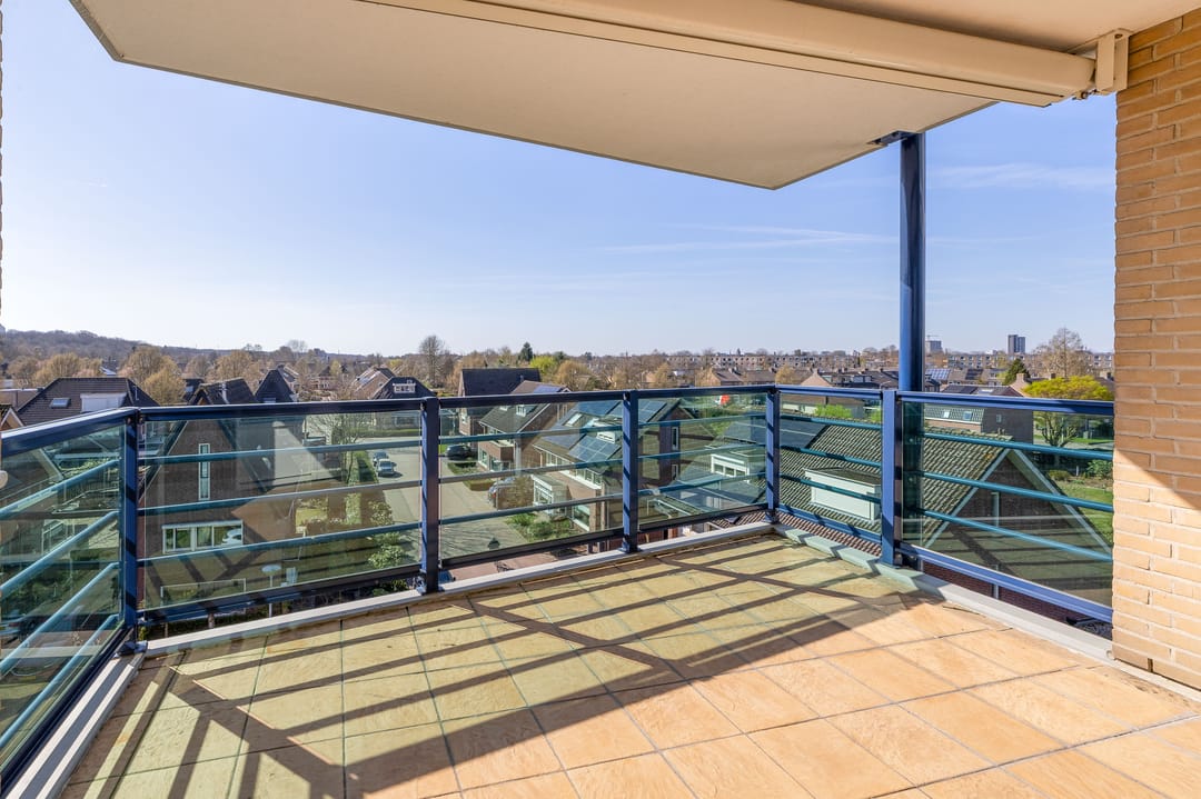 Foto 8 van Veldzuring 41