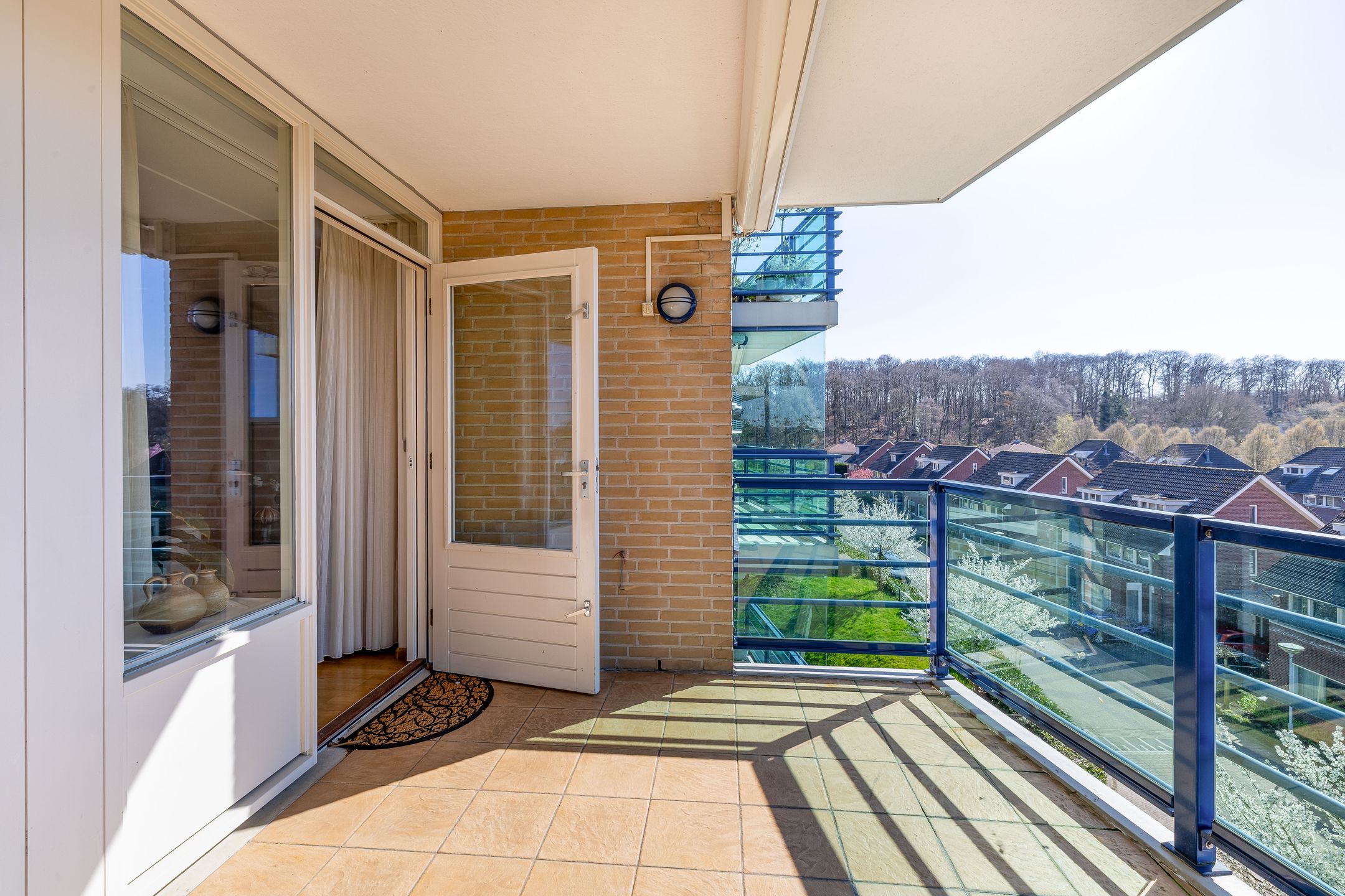 Foto 9 van Veldzuring 41