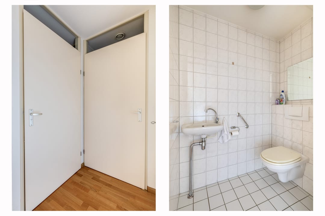 Foto 11 van Veldzuring 41