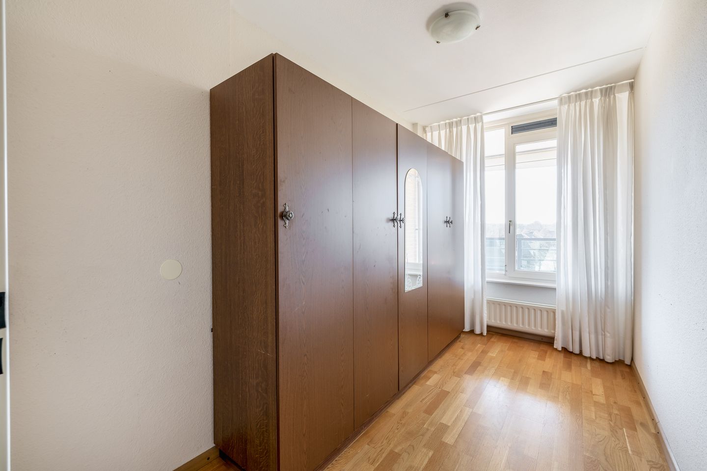 Foto 14 van Veldzuring 41