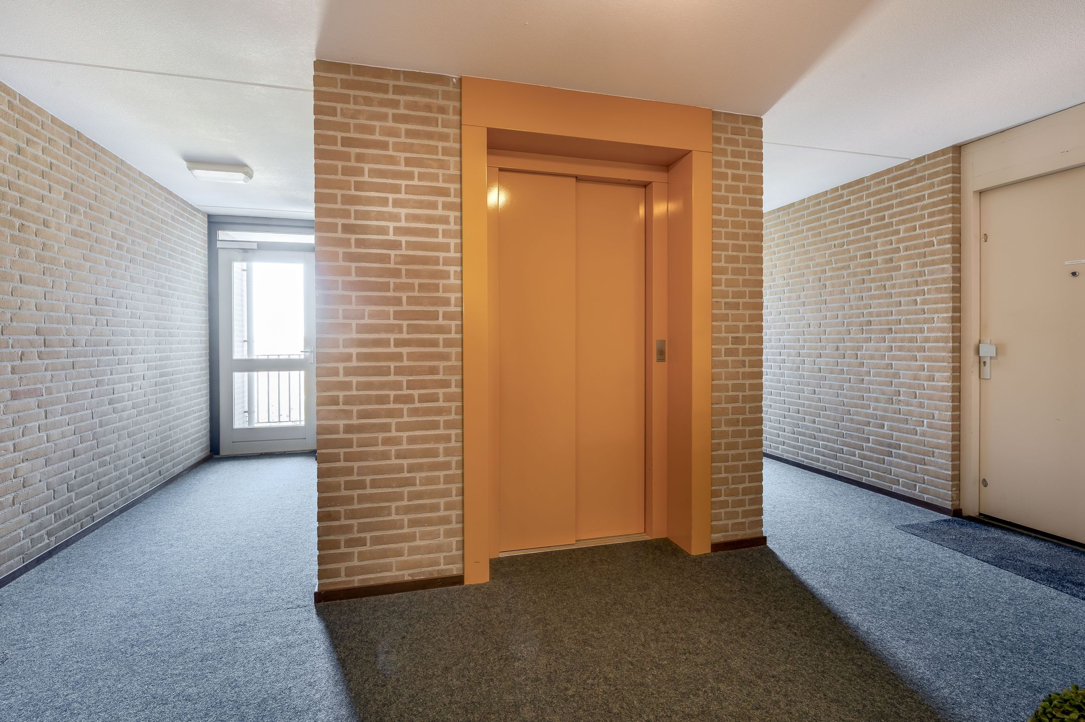 Foto 18 van Veldzuring 41