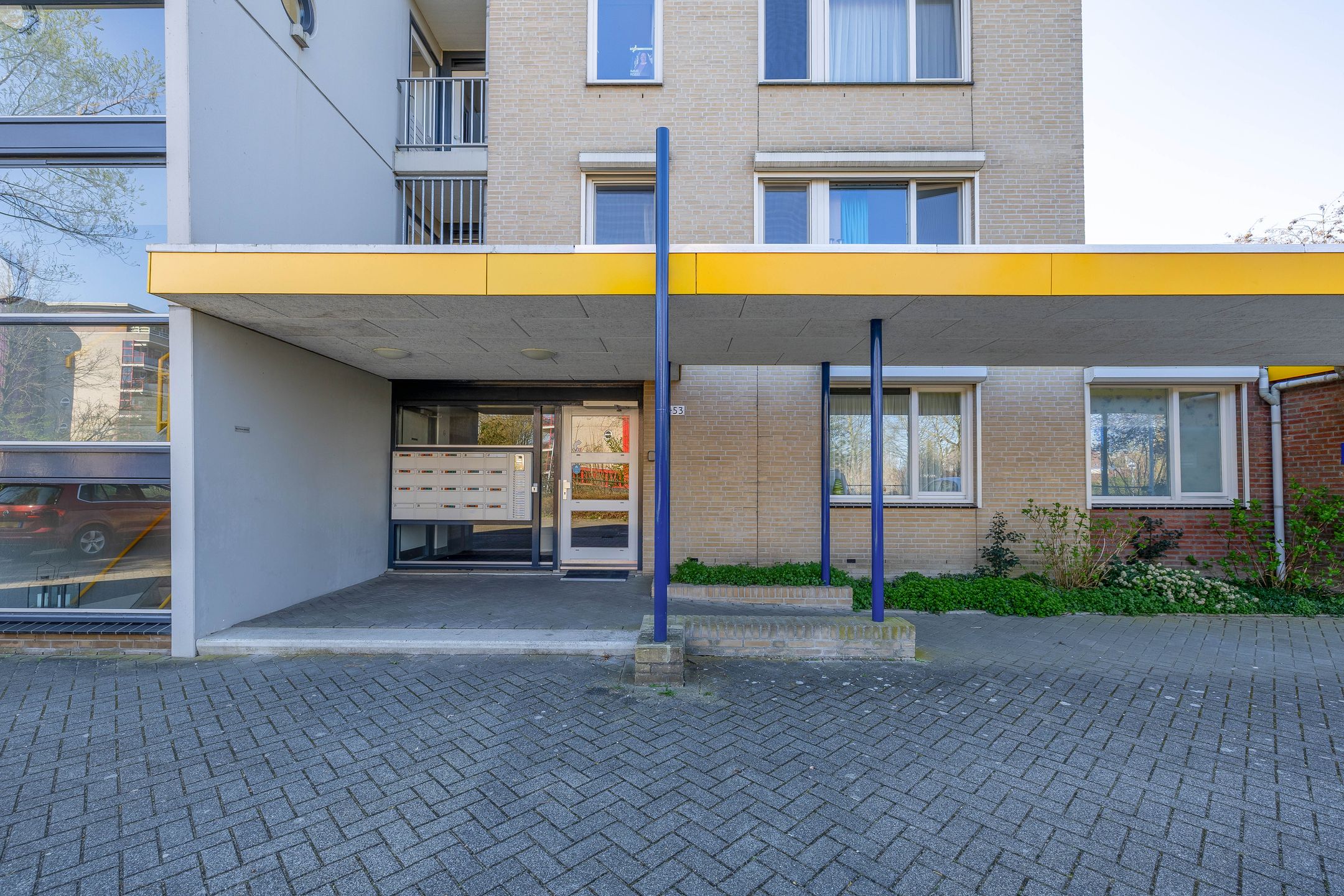 Foto 21 van Veldzuring 41