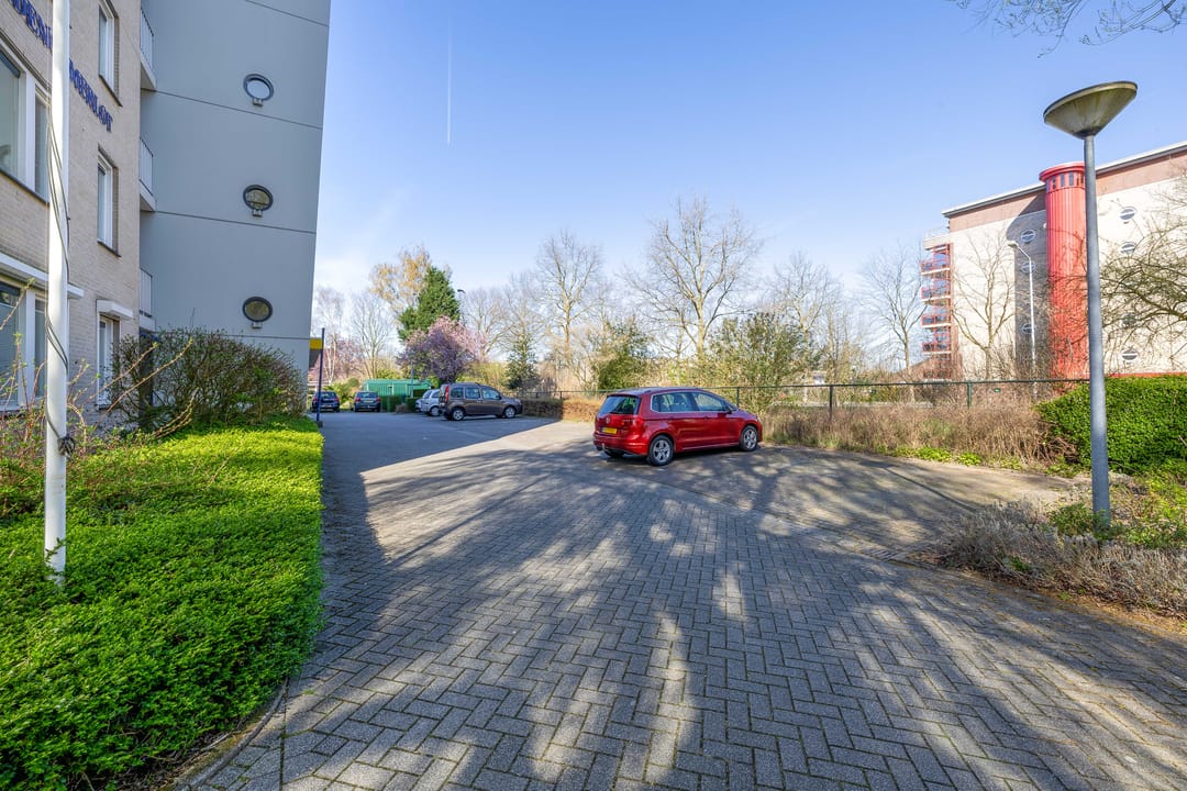 Foto 23 van Veldzuring 41