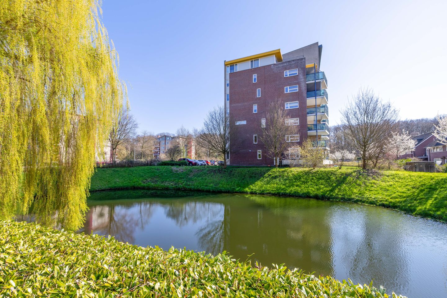 Foto 25 van Veldzuring 41