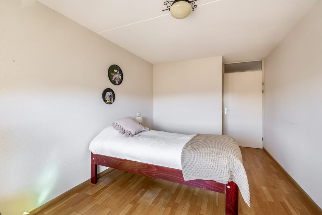 Foto 13 van Veldzuring 41