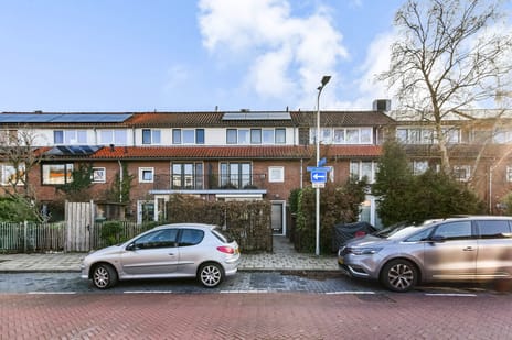 Carel Fabritiuslaan thumbnail