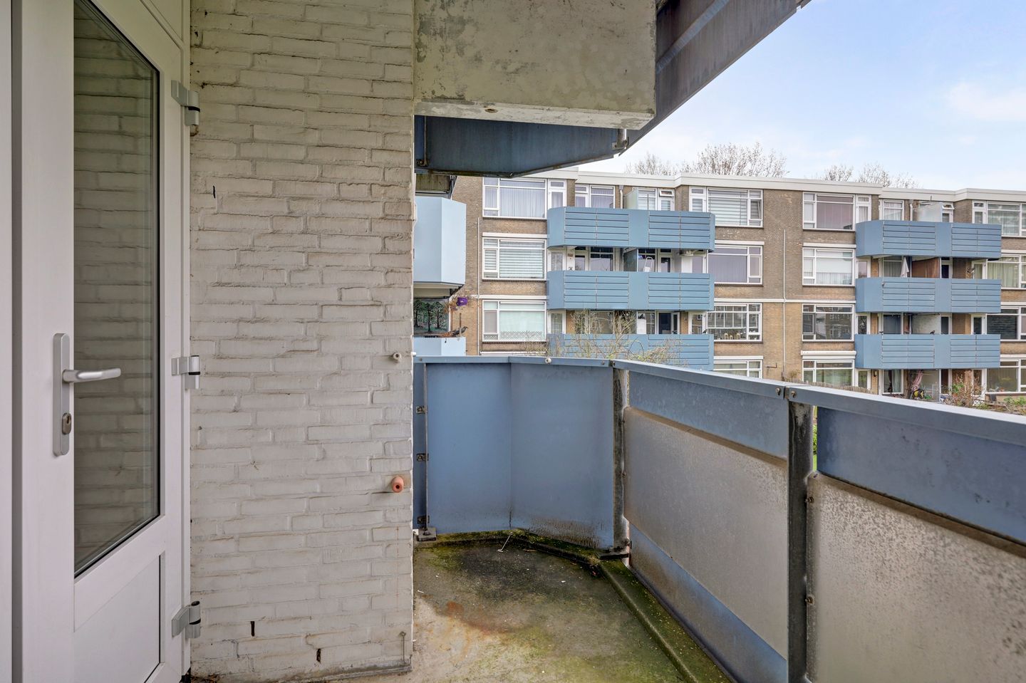 Foto 19 van Achtersteven 50