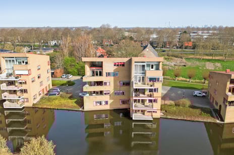 Dokter Kroesenring thumbnail