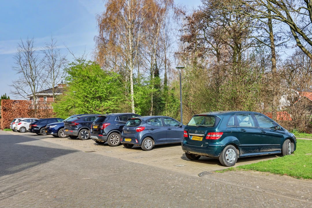 Photo 28 of Dokter Kroesenring 50