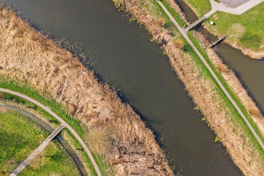 Photo 37 of Dokter Kroesenring 50