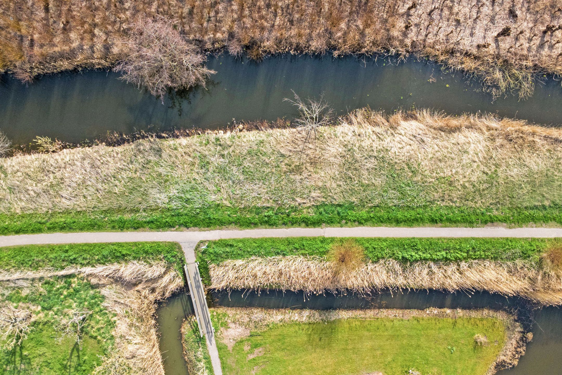 Photo 39 of Dokter Kroesenring 50