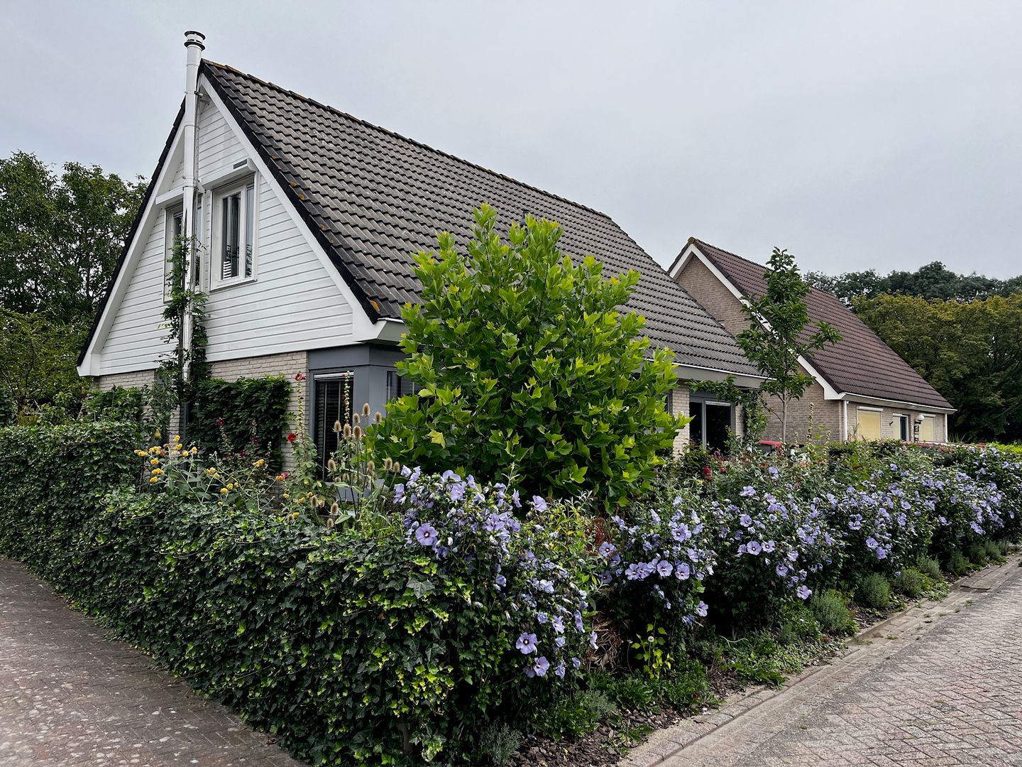 Foto 49 van Kampeerveld 11