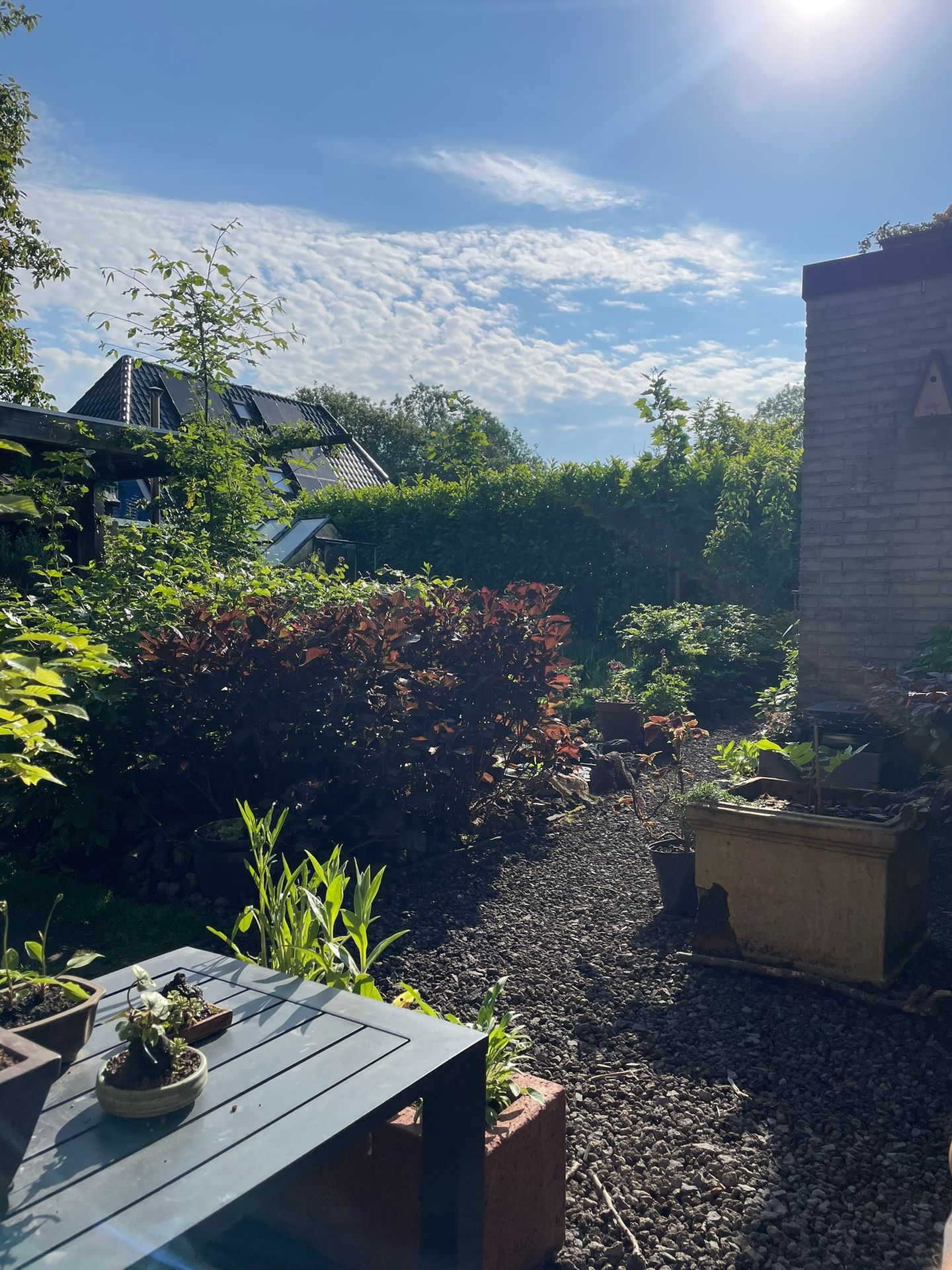 Foto 55 van Kampeerveld 11