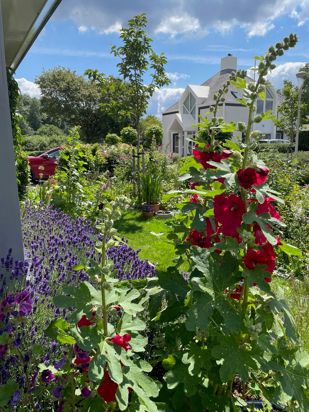 Foto 56 van Kampeerveld 11