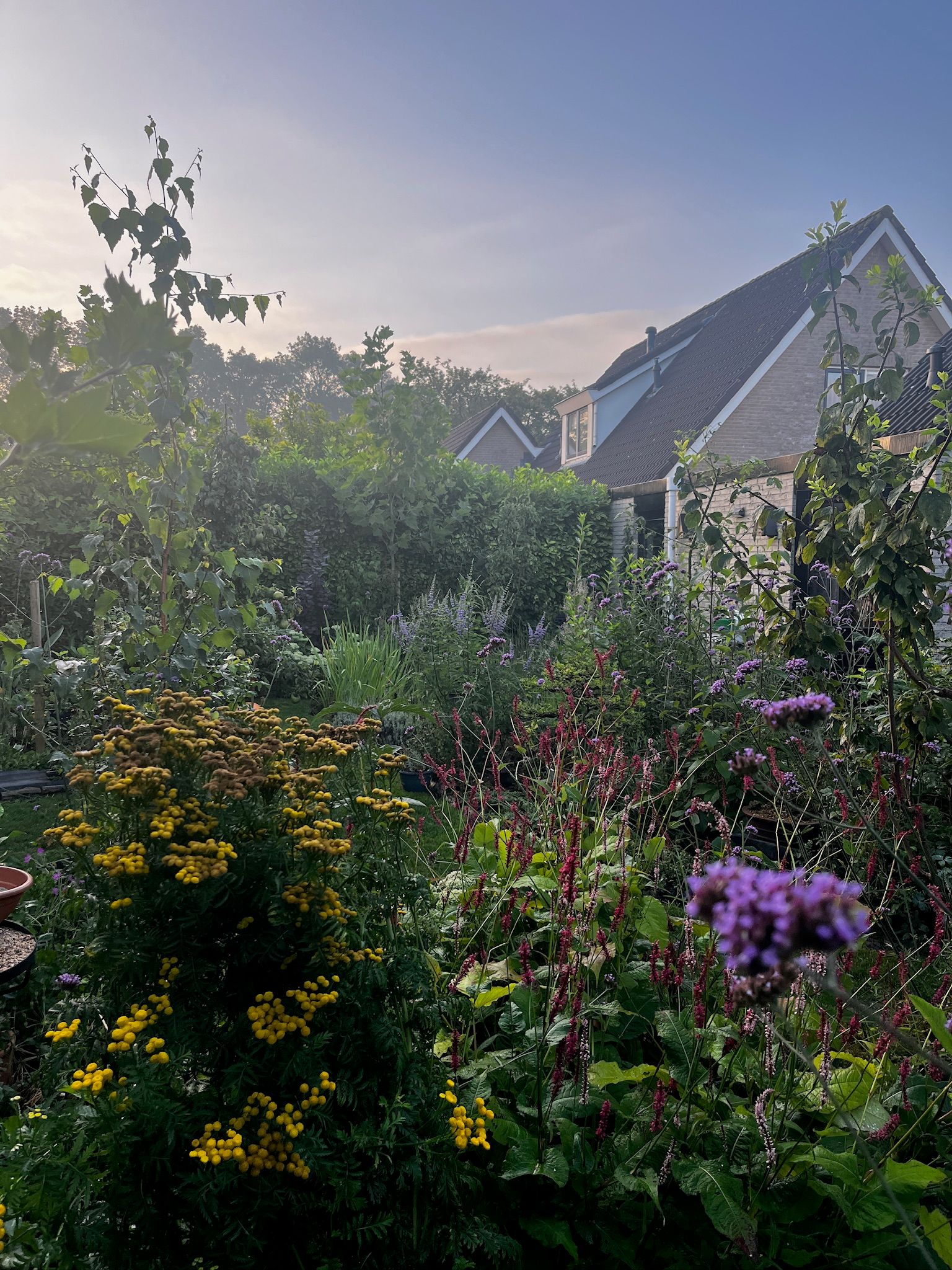 Foto 57 van Kampeerveld 11