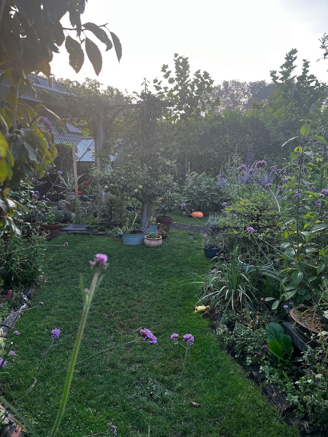 Foto 58 van Kampeerveld 11