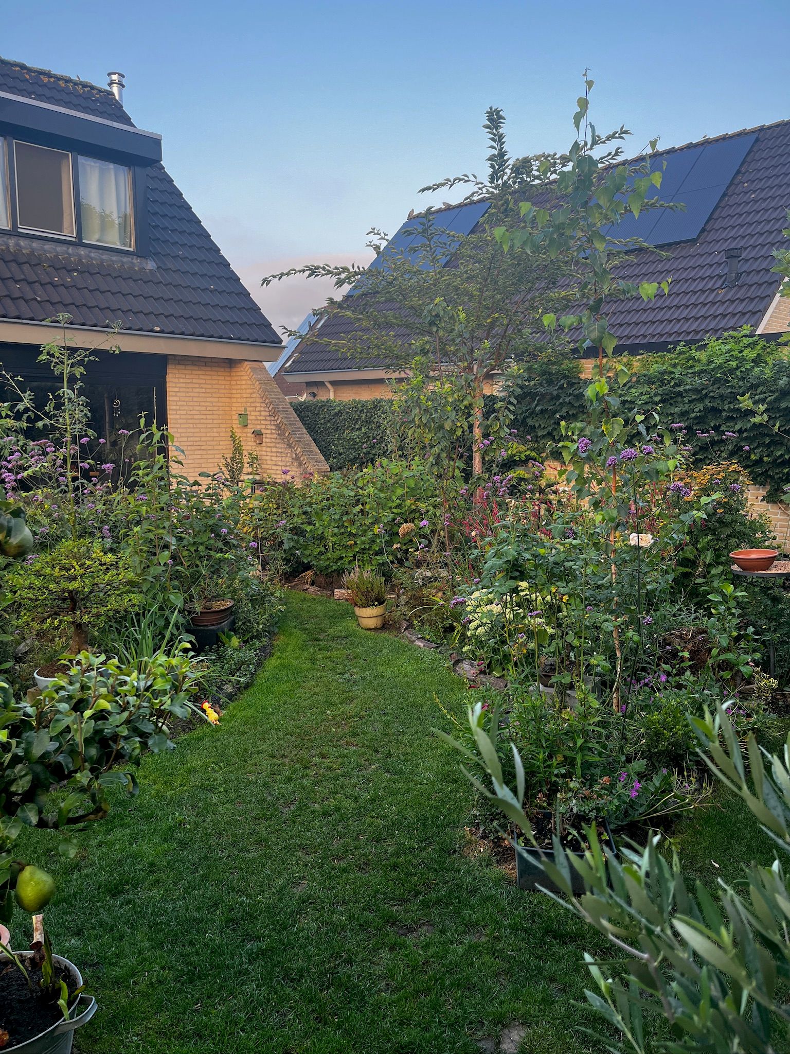 Foto 60 van Kampeerveld 11