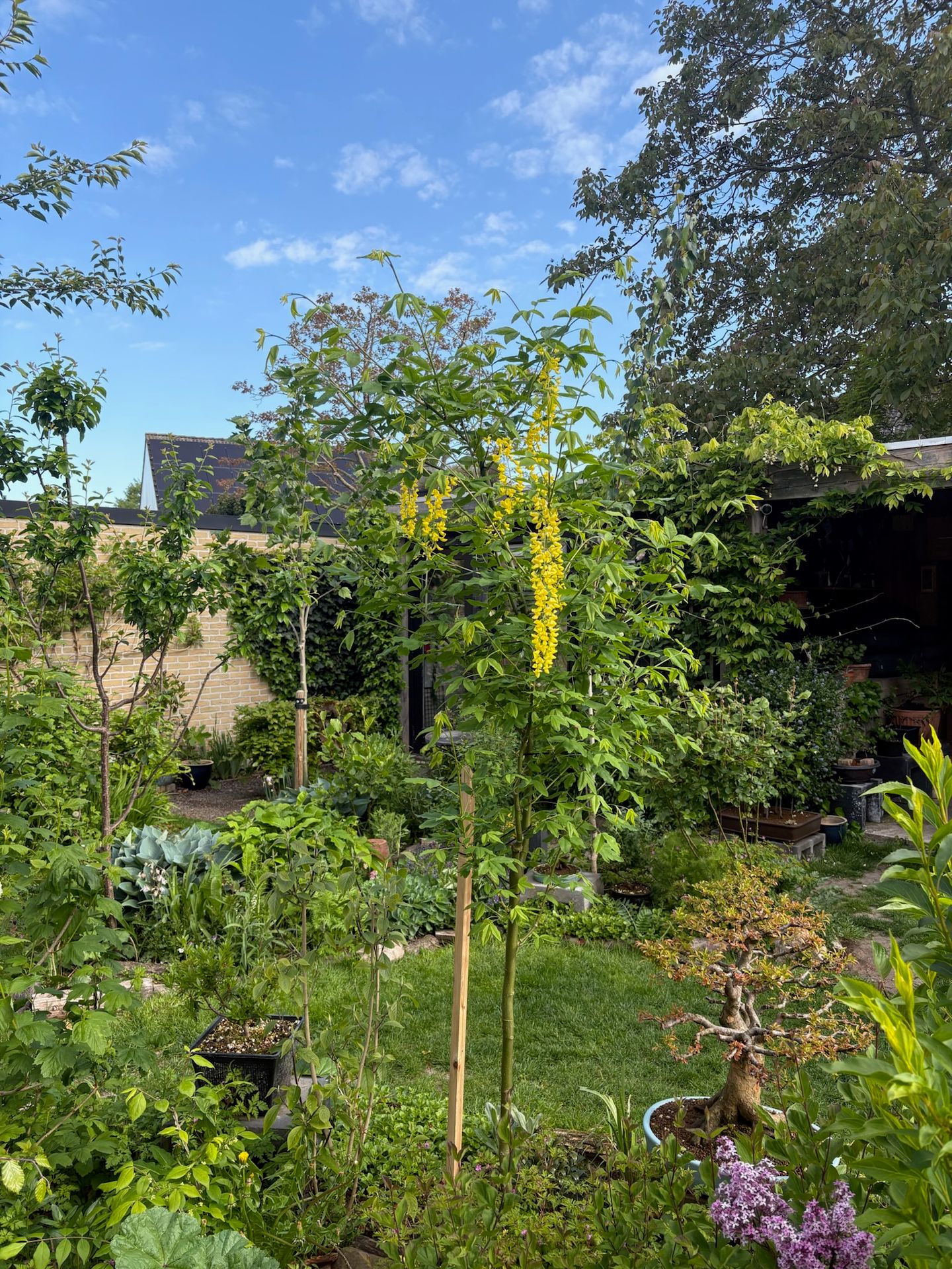 Foto 65 van Kampeerveld 11