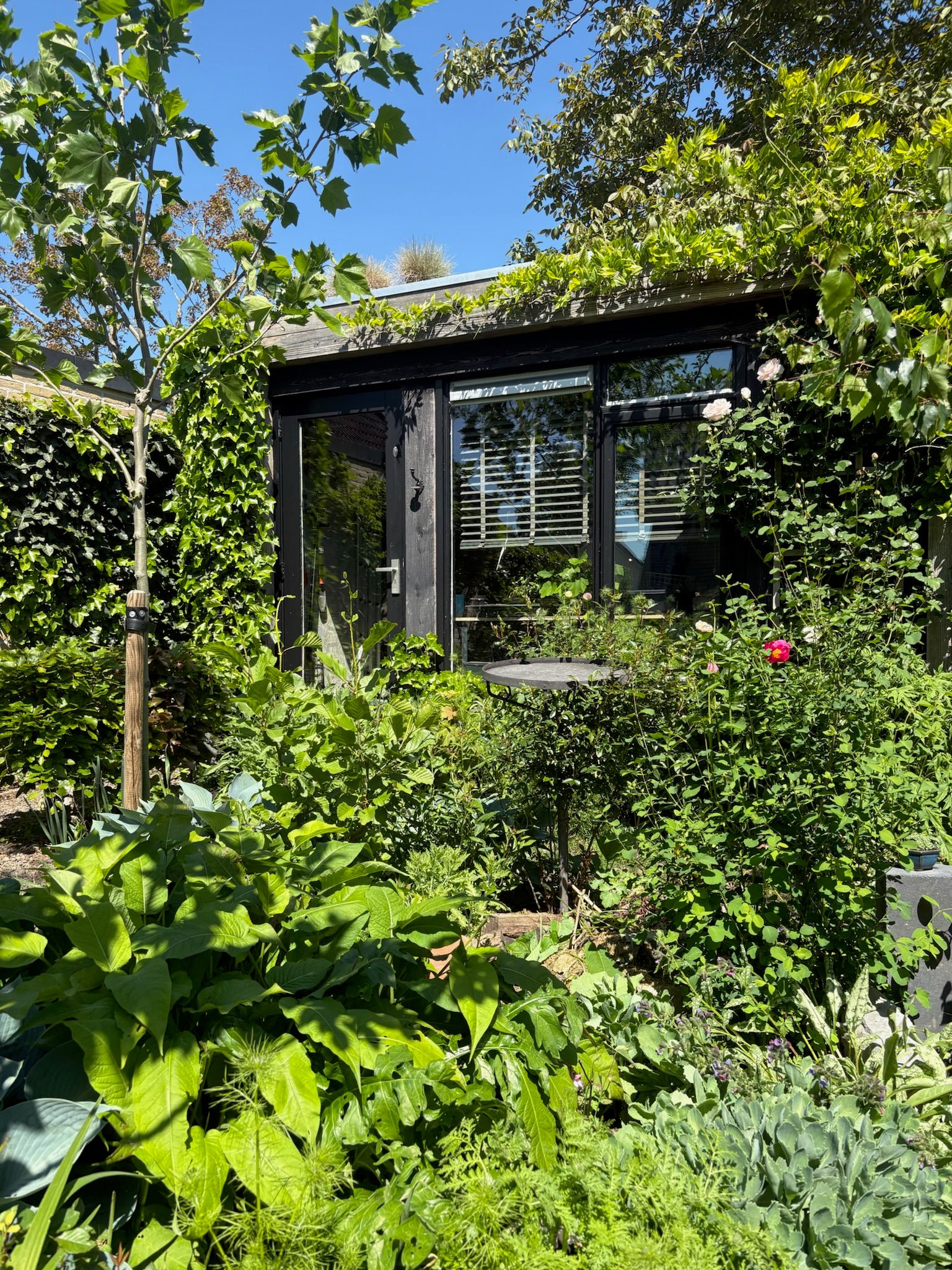 Foto 66 van Kampeerveld 11