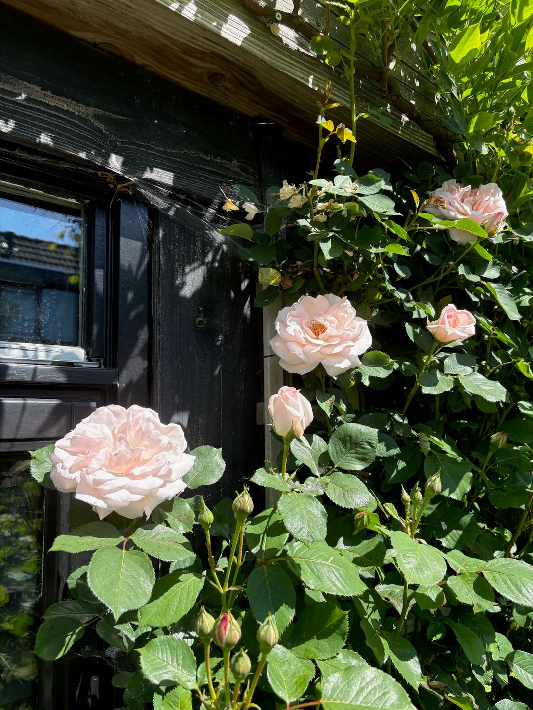 Foto 67 van Kampeerveld 11