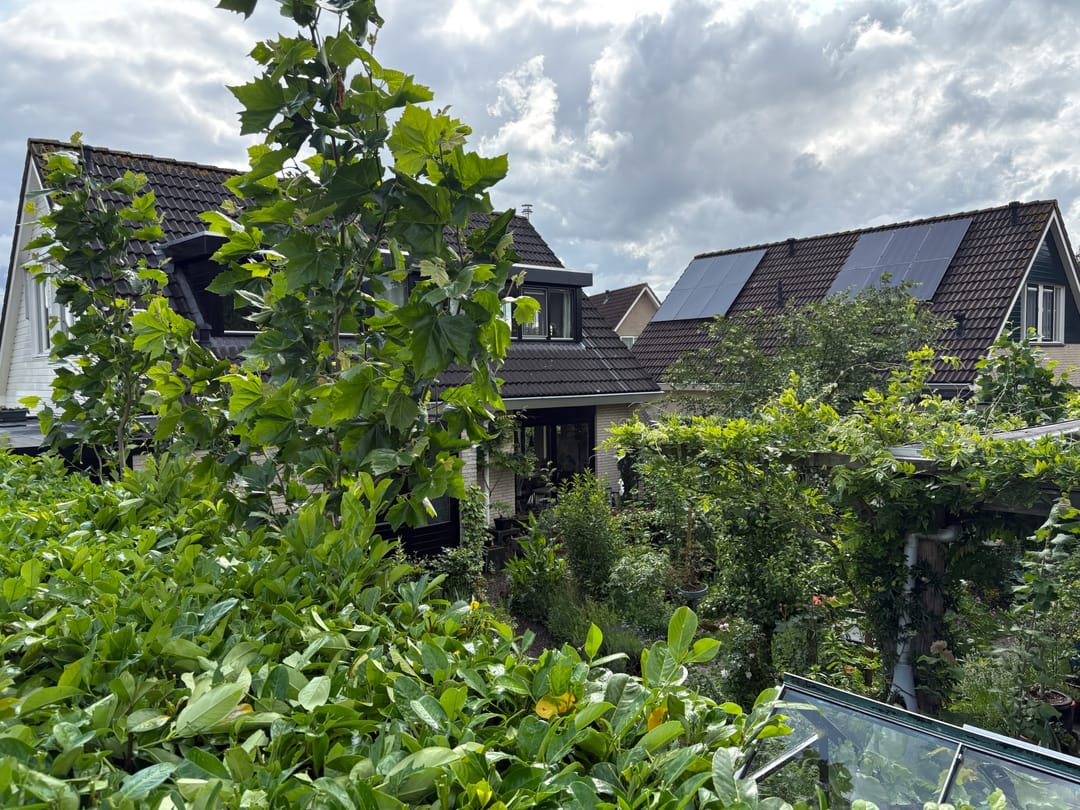 Foto 71 van Kampeerveld 11