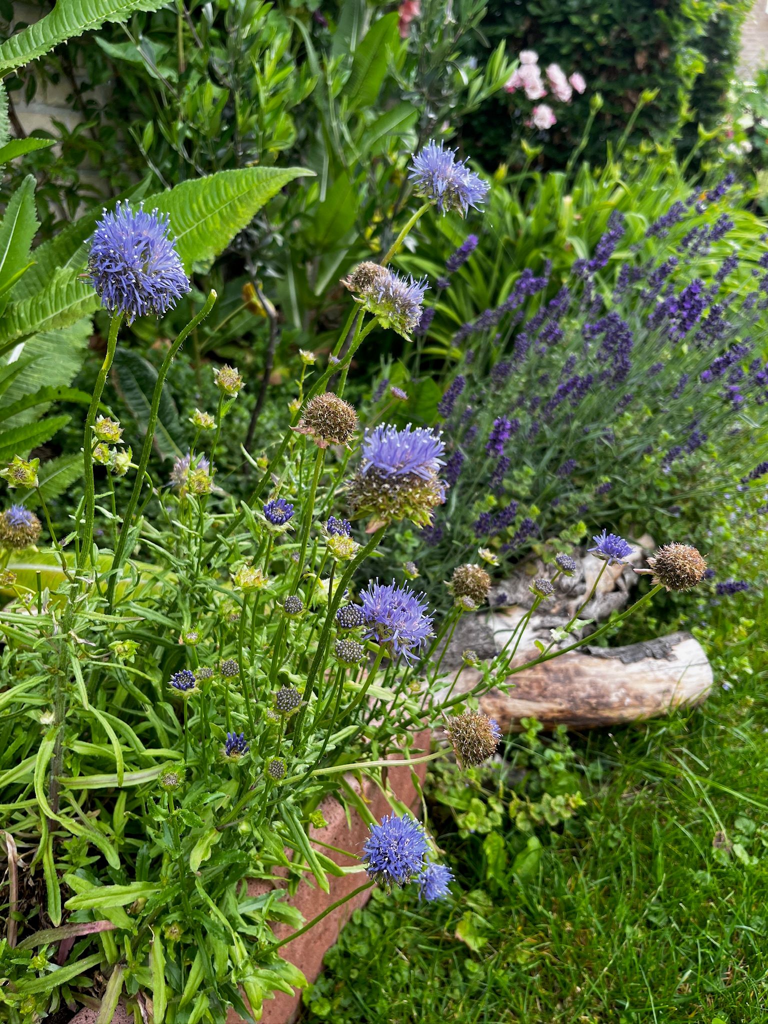 Foto 72 van Kampeerveld 11