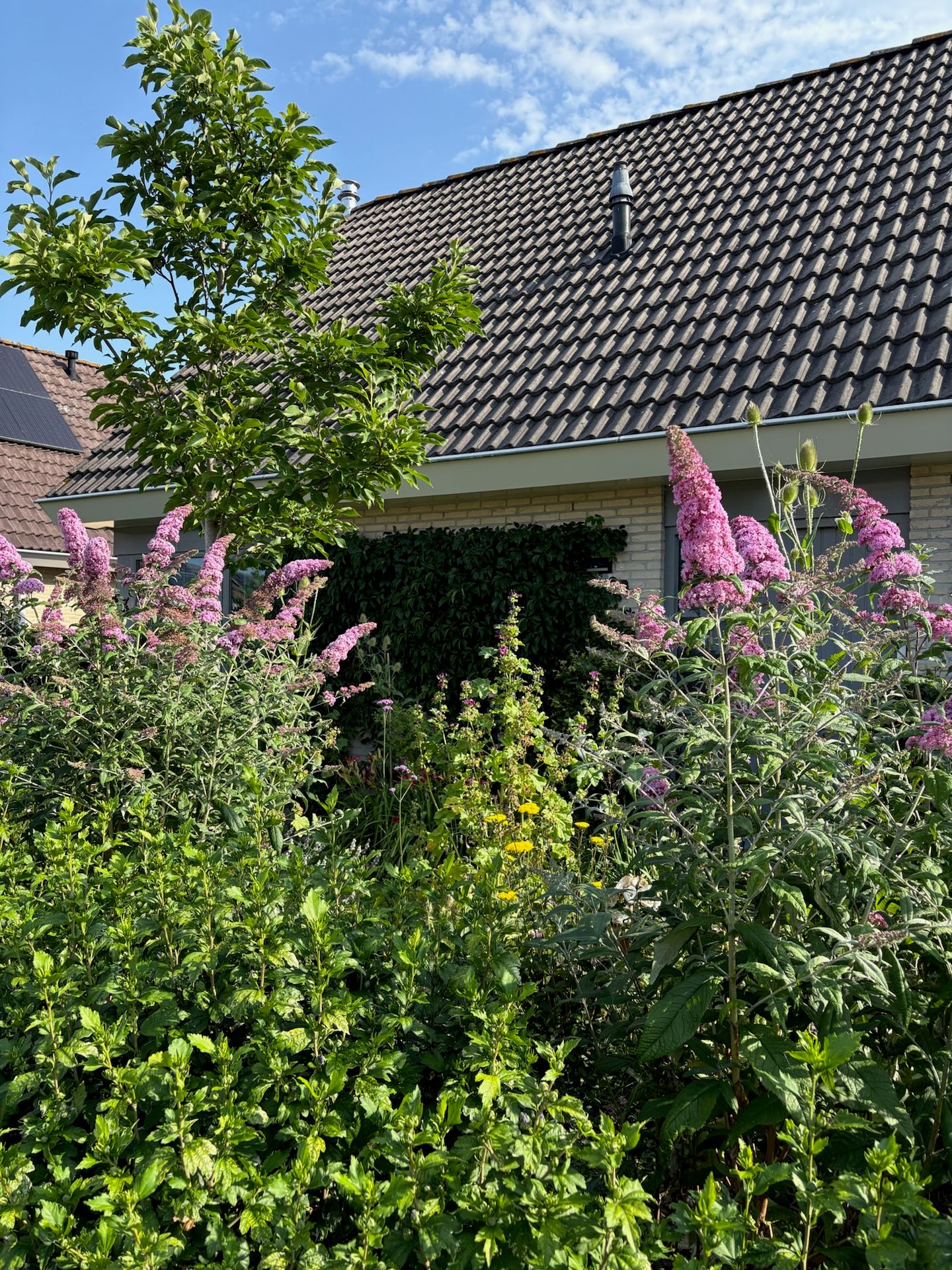 Foto 74 van Kampeerveld 11