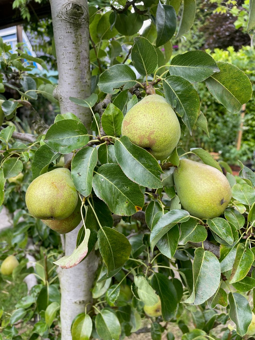 Foto 53 van Kampeerveld 11