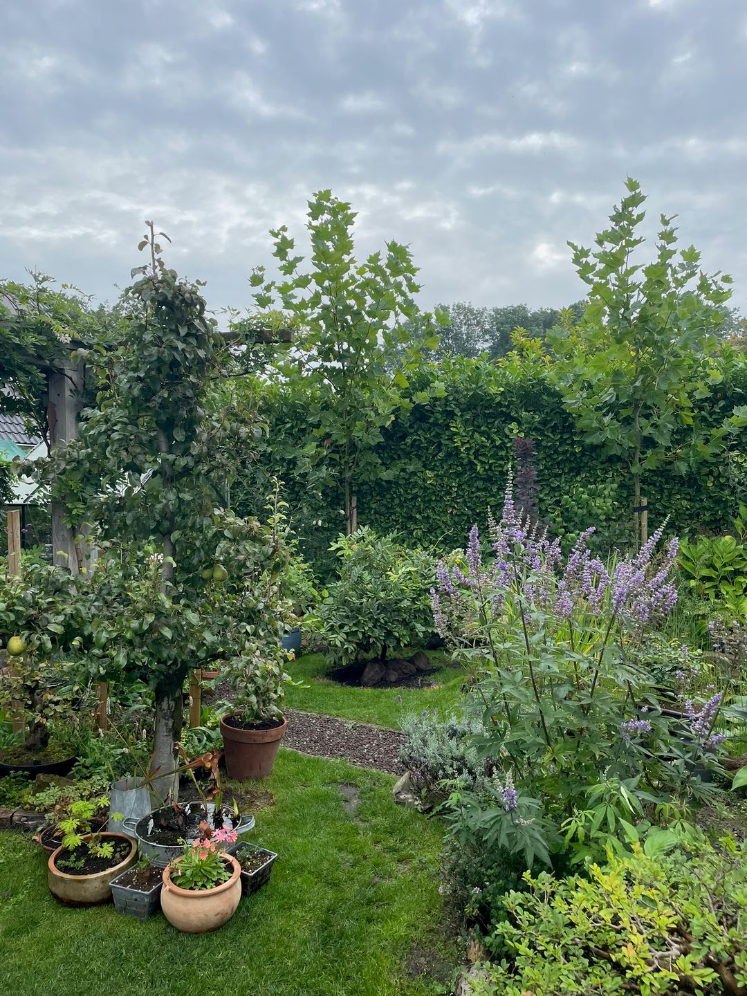 Foto 62 van Kampeerveld 11