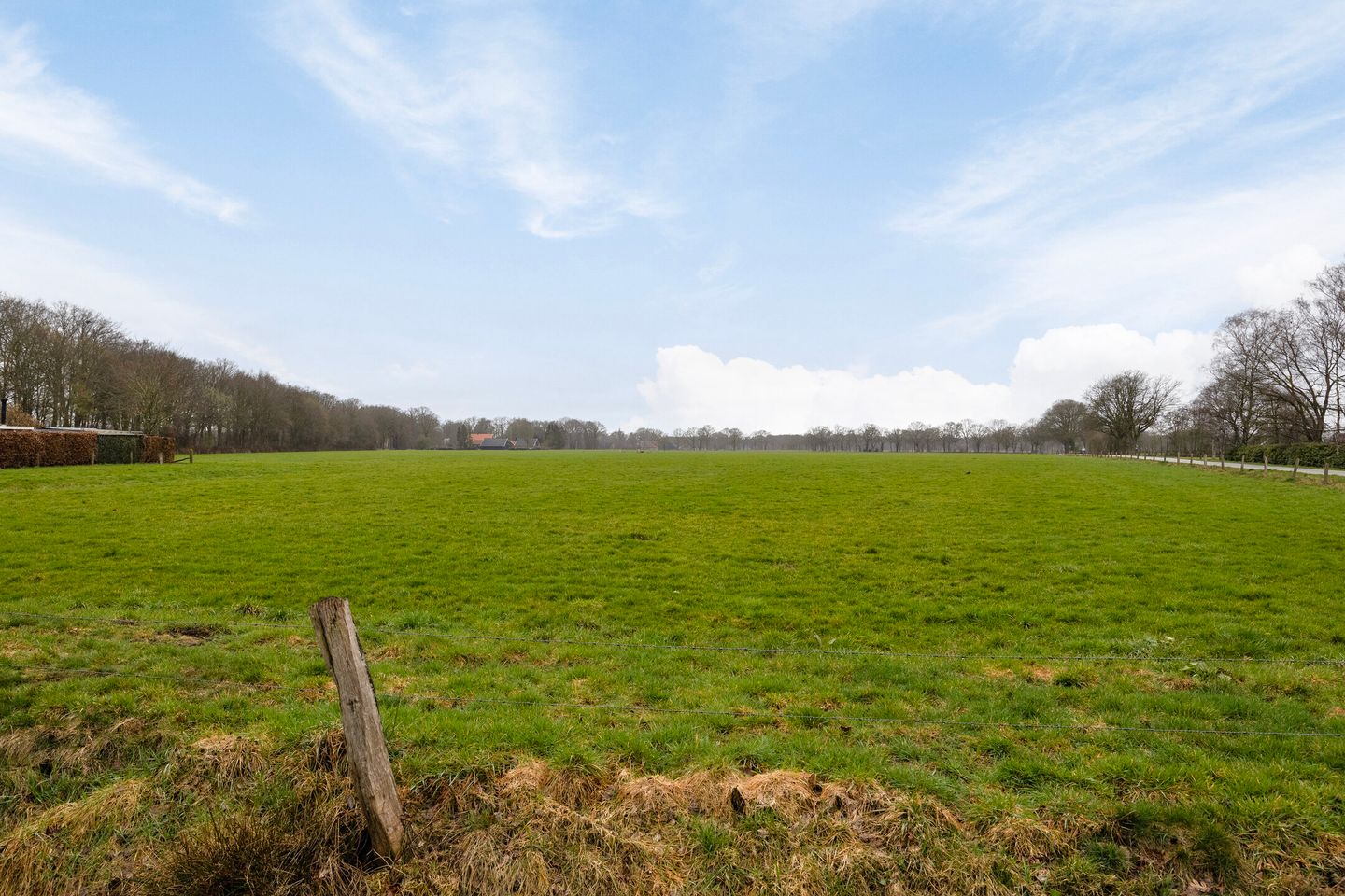 Photo 50 of Mozartstraat 18