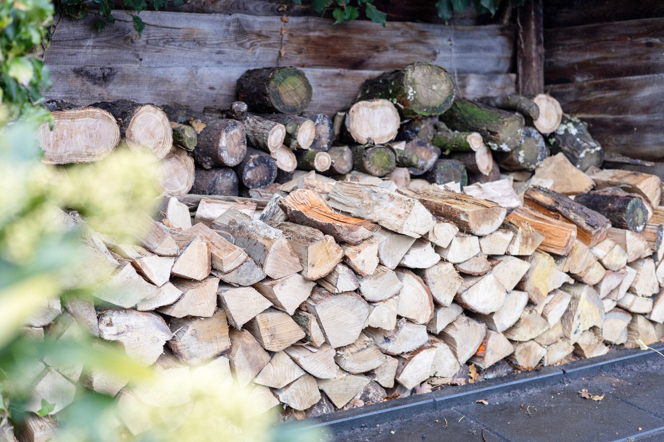 Photo 45 of Mozartstraat 18