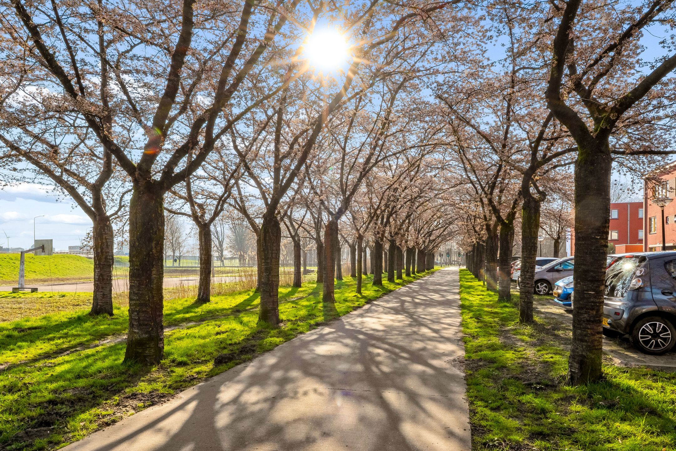 Foto 45 van Zanzibarstraat 16