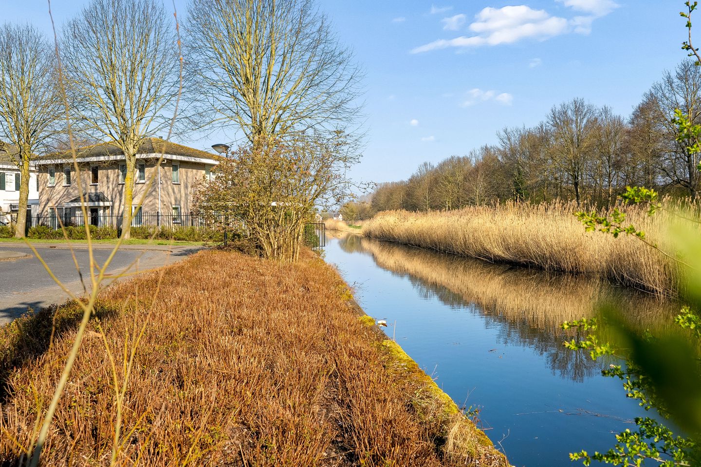 Foto 44 van Zanzibarstraat 16