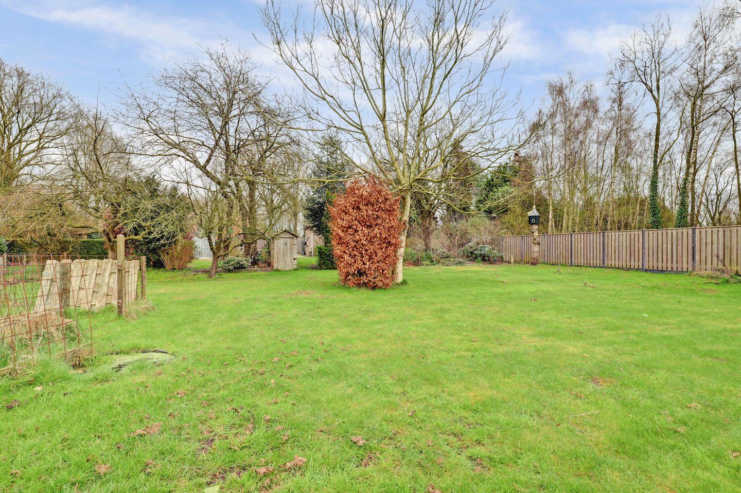 Foto 49 van Molenheideweg 8