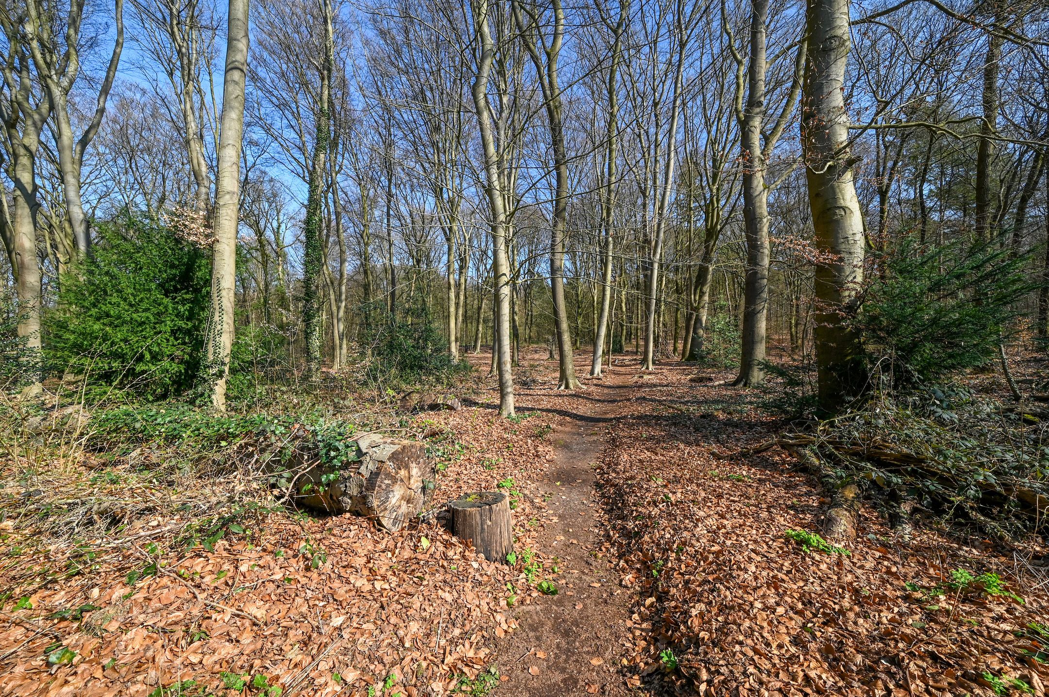Photo 54 of Hullenbergweg 9-B