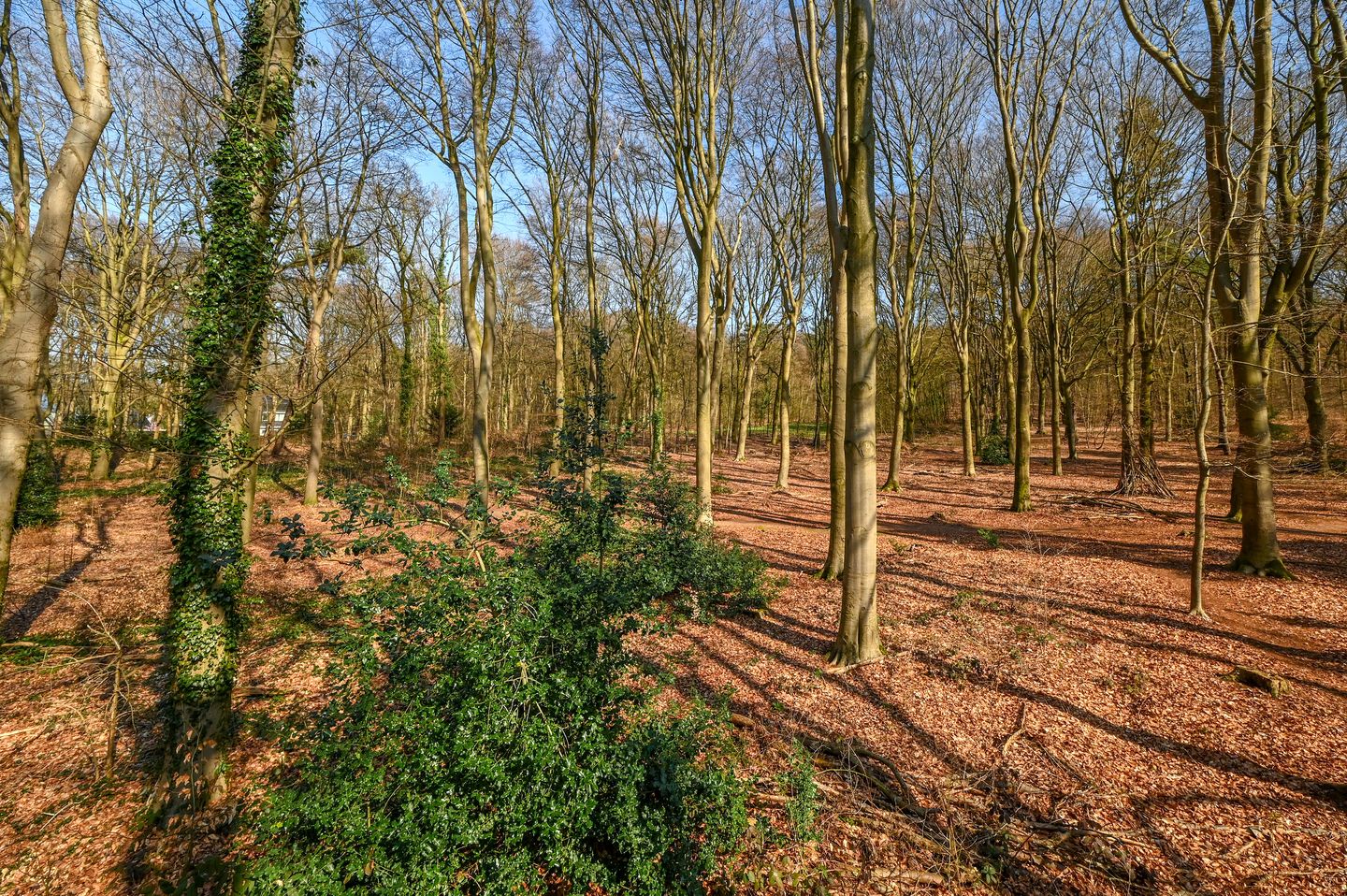 Photo 55 of Hullenbergweg 9-B