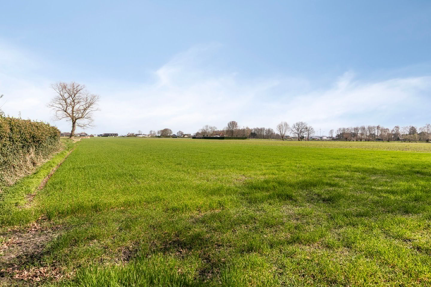 Foto 40 van Kalverstraat 87