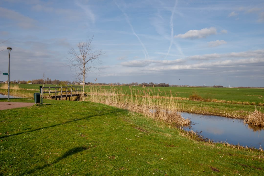 Photo 43 of De Mus 3