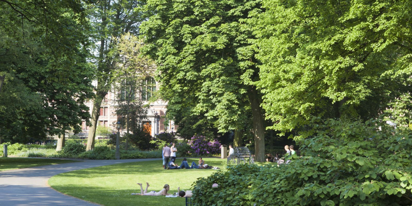 Foto 39 van Prinsestraat 37-F