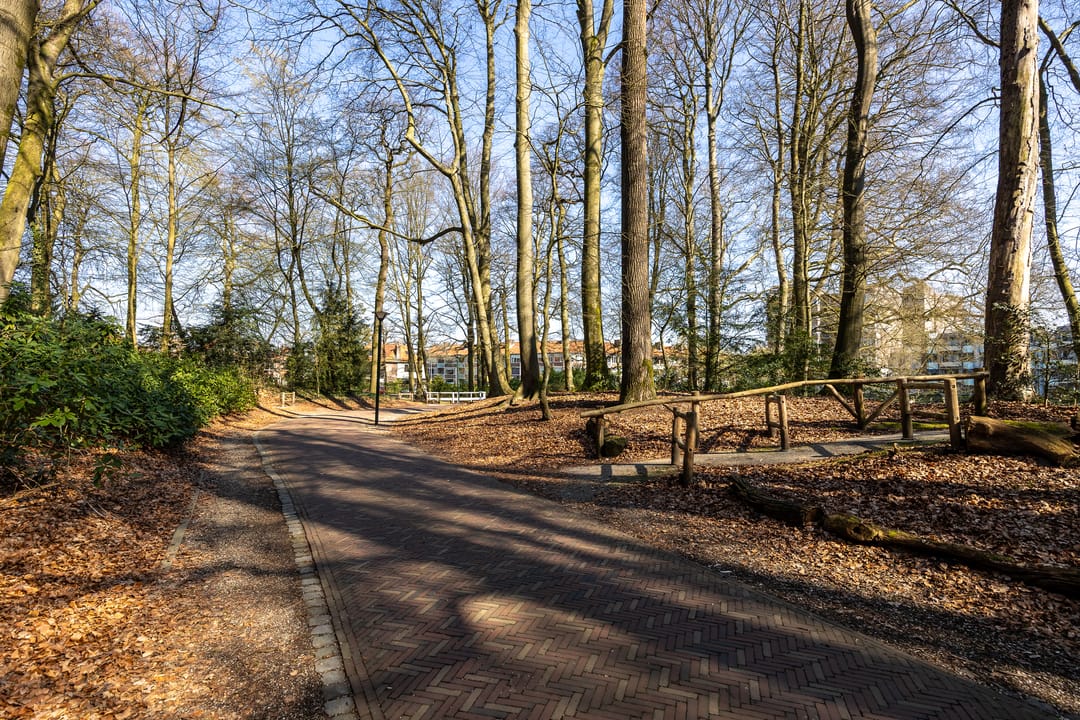 Foto 43 van Johan Wagenaarstraat 16-C