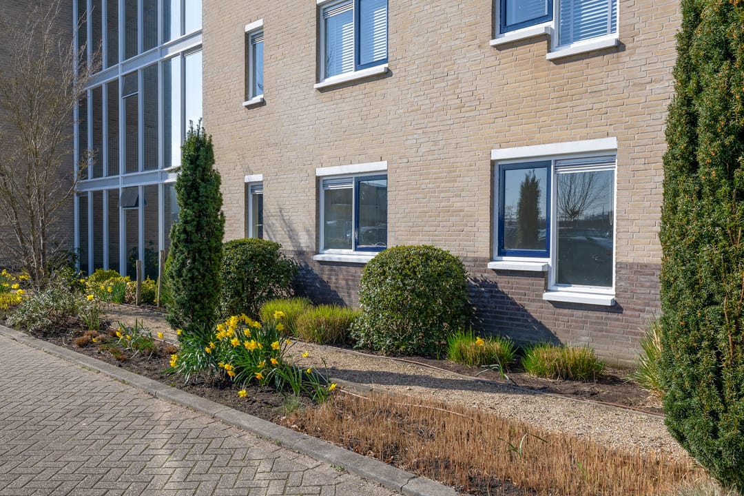 Foto 7 van Olympiaweg 57