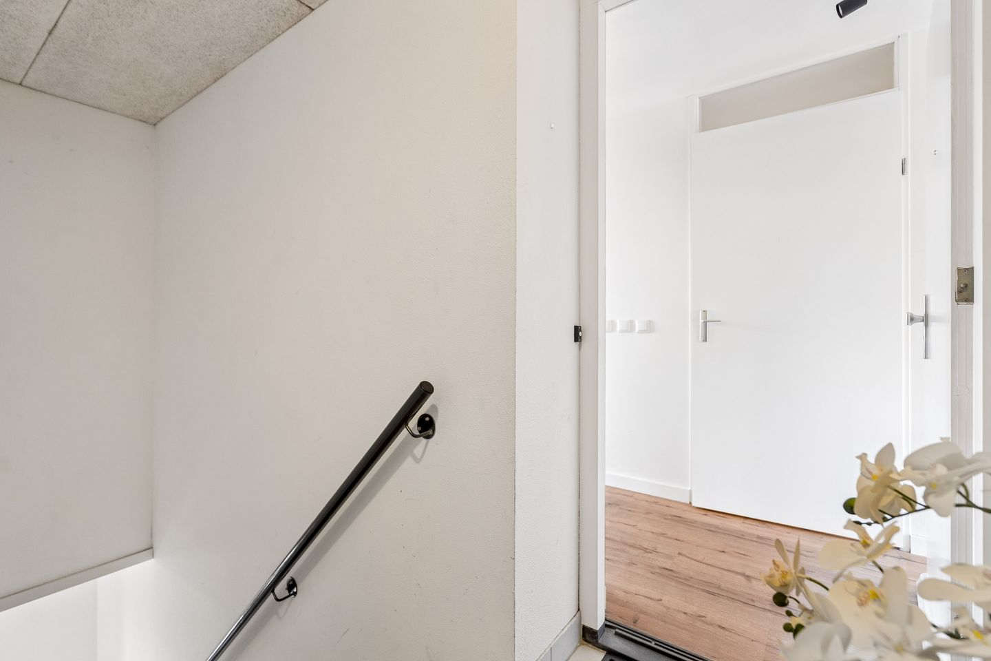 Photo 4 of Edelsteen 66