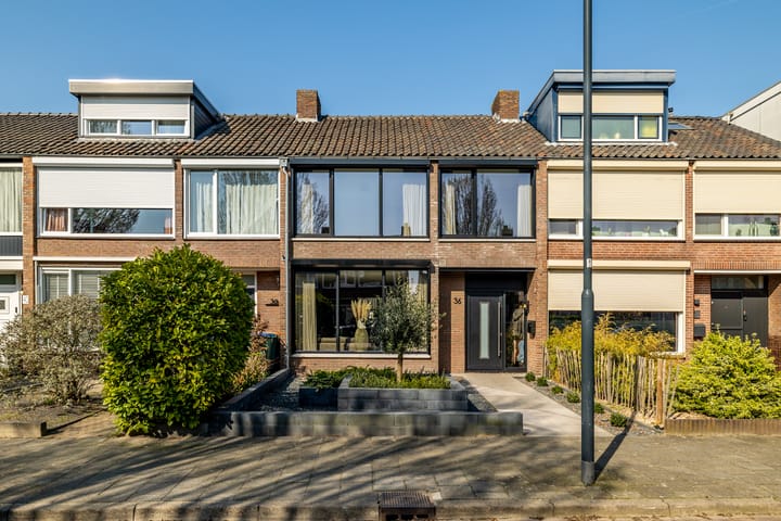 Laurierstraat 36