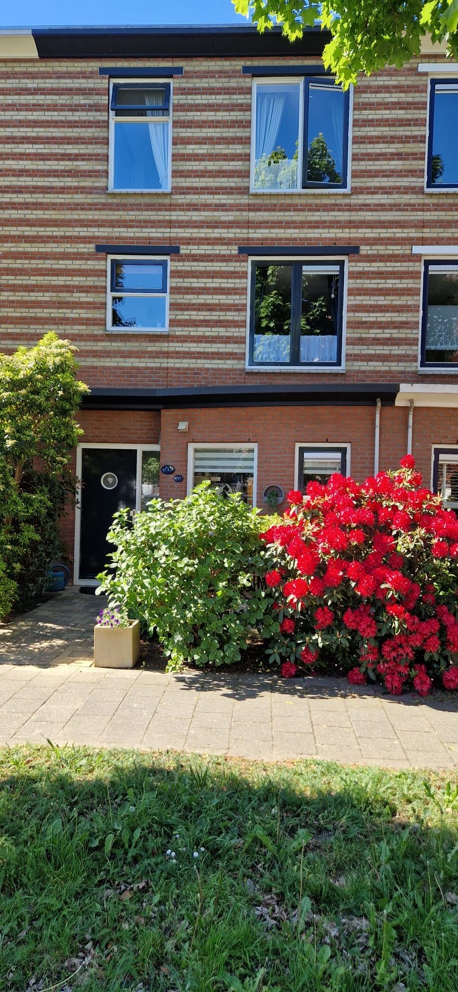 Foto 47 van Rembrandthage 69