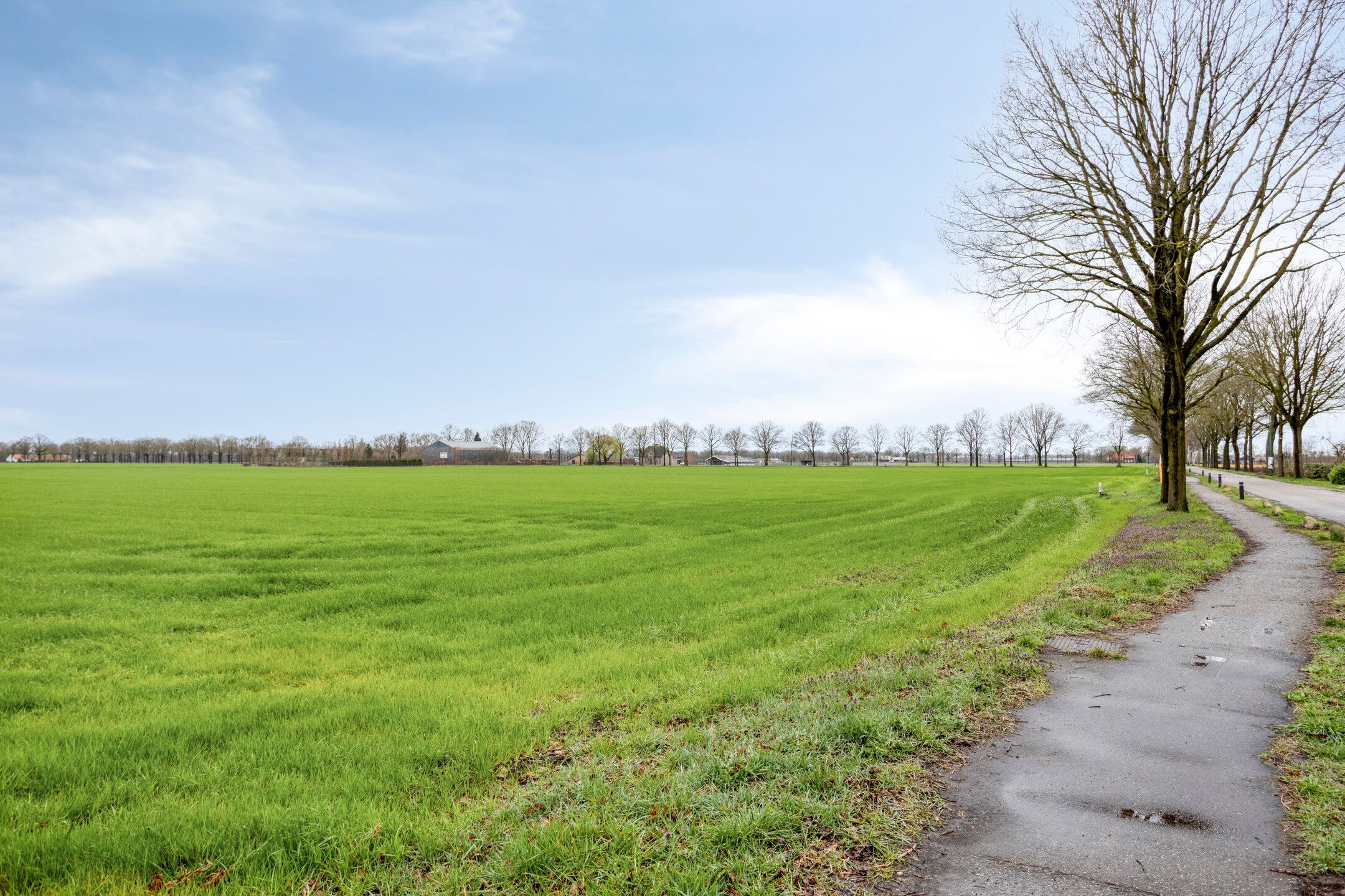 Foto 42 van Kerkstraat 25